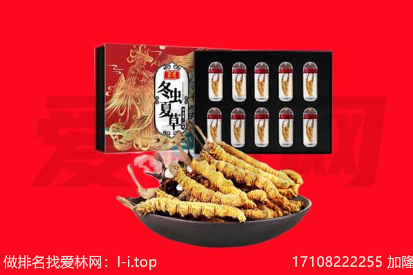 兴平市回收虫草.jpg